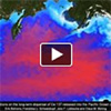 Verteilung der radioaktiven Kontamination im pazifischen Ozean. Aus einem Video des Helmholtz-Zentrums für Ozeanforschung Kiel.